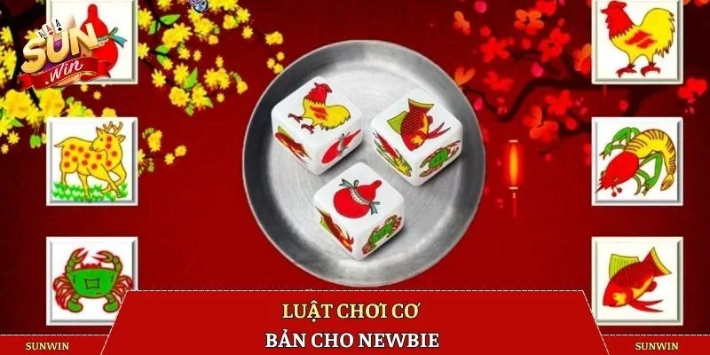 Luật chơi cơ bản cho newbie
