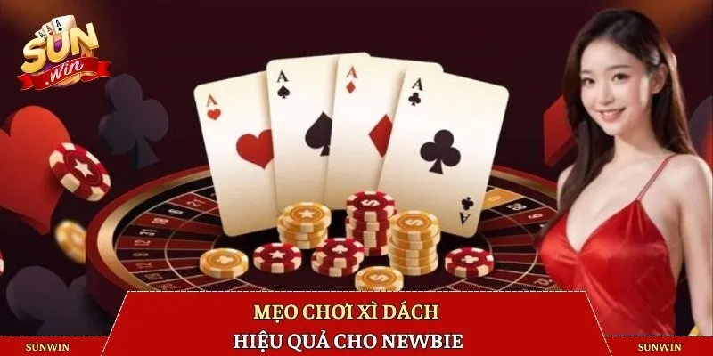 Mẹo chơi xì dách hiệu quả cho newbie