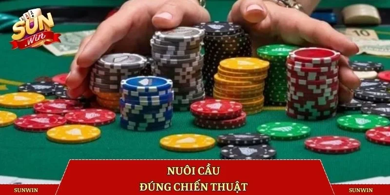 Nuôi cầu đúng chiến thuật